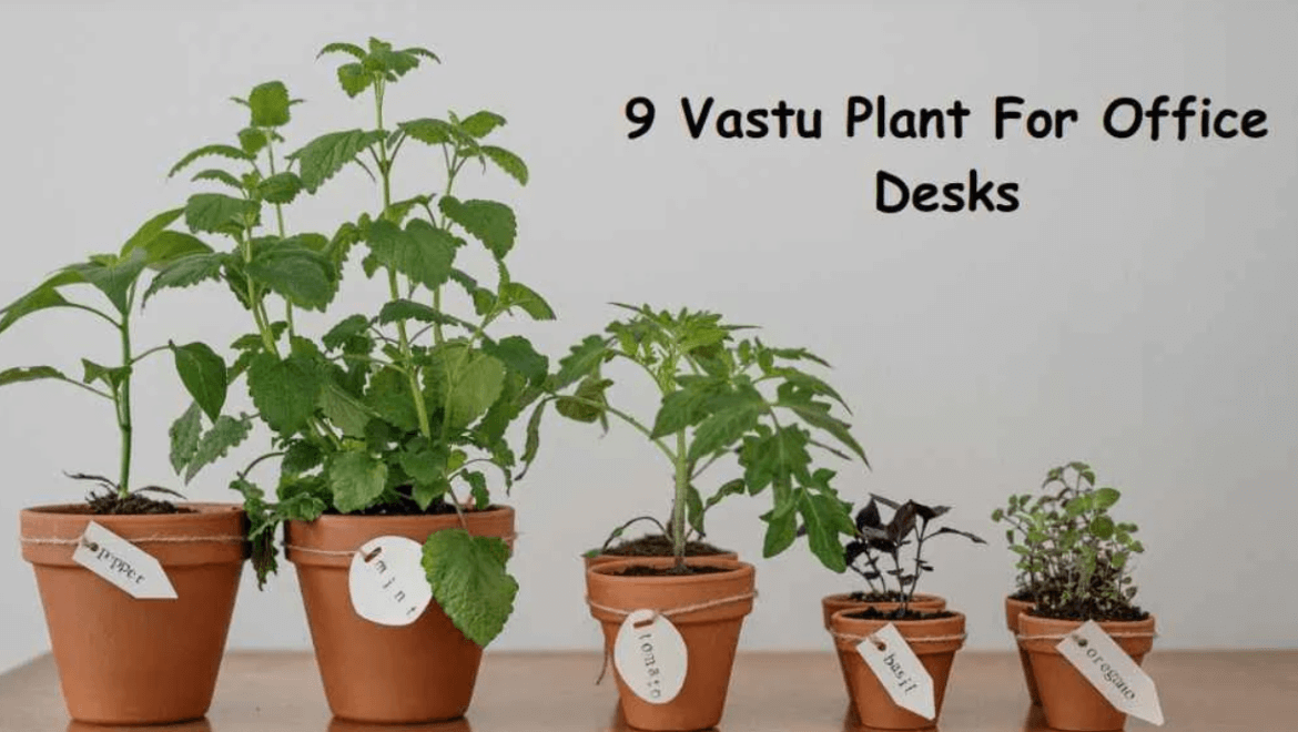 Top 9 Vastu-Approved Plants For Office Desks