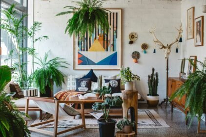 Big plants for living room