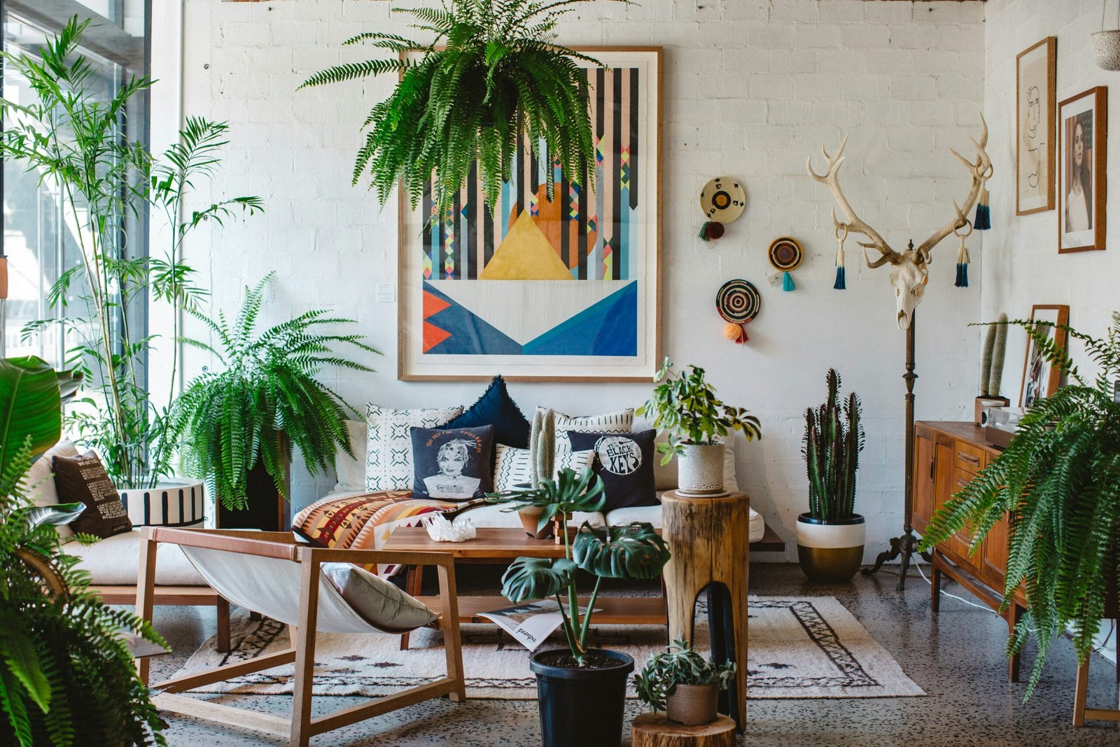 12 Big Plants for Living Room | Decorate Living Room