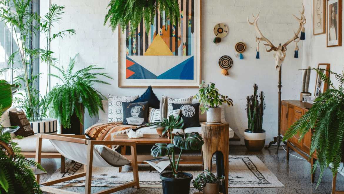 12 Big Plants for Living Room | Decorative Indoor Plants