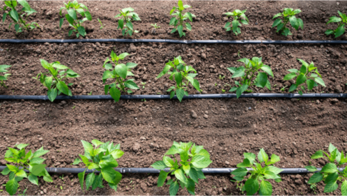 drip irrigation technology