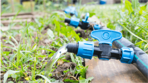 how drip irrigation works